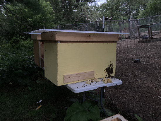 effects-of-flooding-on-crops-beehive-starvation